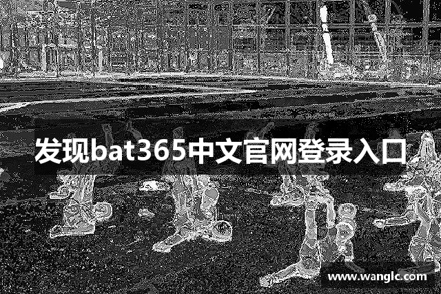 发现bat365中文官网登录入口